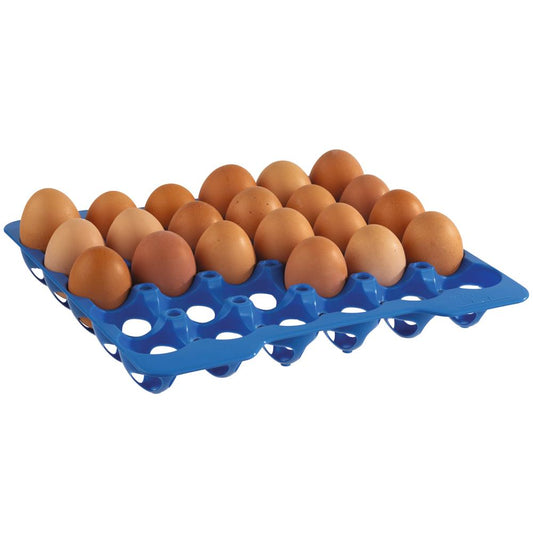 Eiertablett für 30 Eier - PP-Kunststoff - Blau