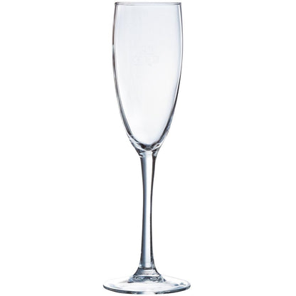 PRACTIC BOX VINA Sektgläser (18 Stück) - 19 cl - geeicht /-/ 0,1 l