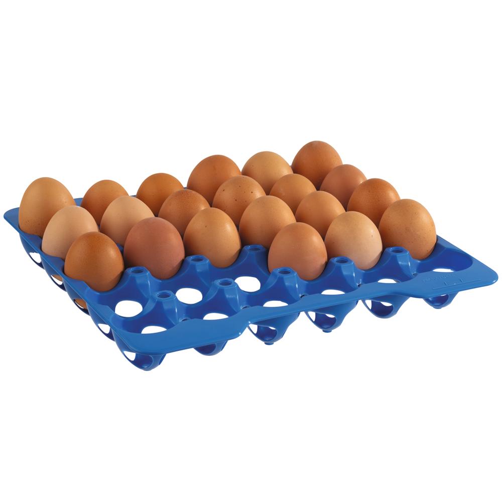 Eiertablett für 30 Eier - PP-Kunststoff - Blau